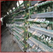 Quail Cages and Equipment